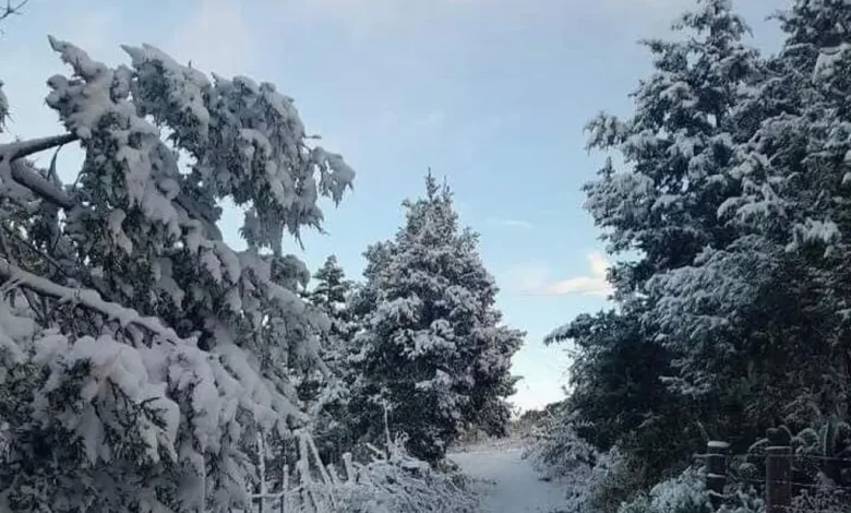 Así se vio la primera nevada en Chihuahua