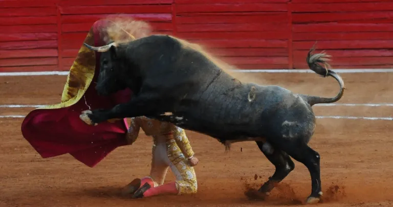 Jueza rechaza suspender corridas de toros en La México, pero el pleito legal continúa