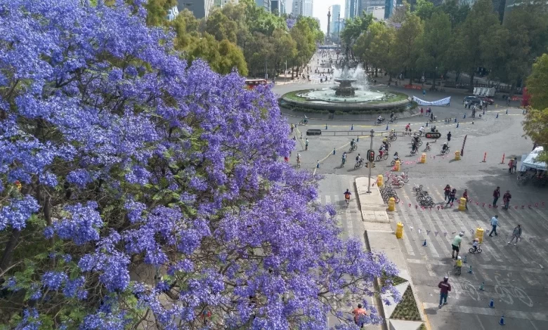 Recibió CDMX a 14.4 millones de turistas en 2023: Sectur