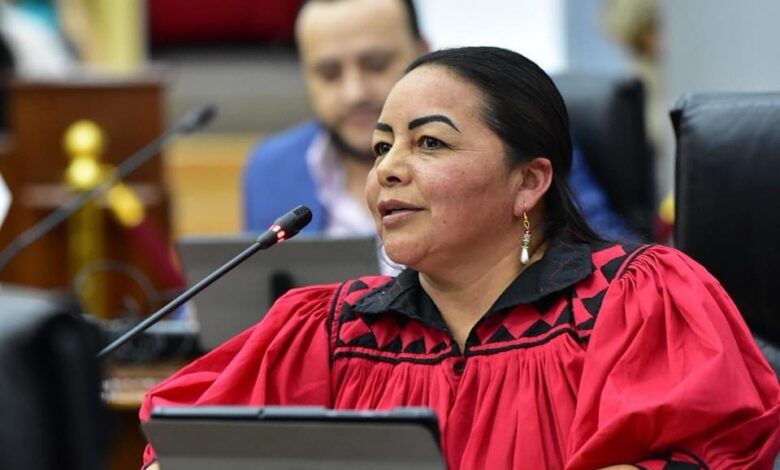 Diputada de Morena busca que a los indígenas se les garanticen traductores en sus procesos judiciales