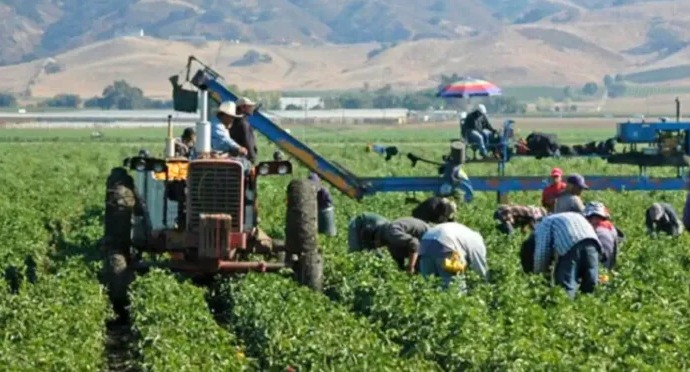 Organizaciones de trabajadores piden a Trump reconsiderar deportaciones por el bien de la economía