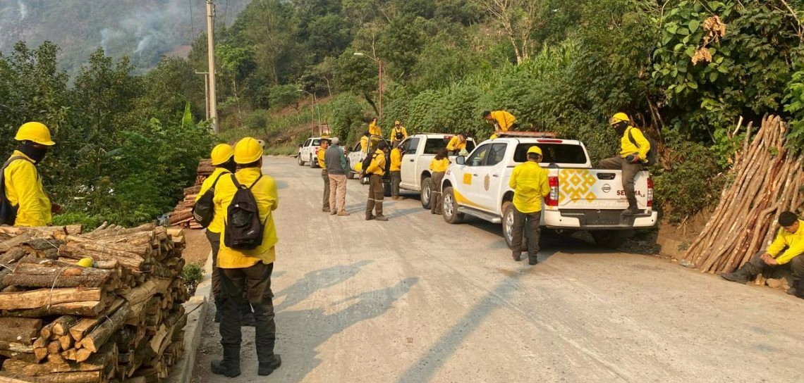 Veracruz enfrenta 16 incendios forestales durante el fin de semana; autoridades mantienen vigilancia en tres municipios